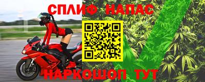 спиды Канаш