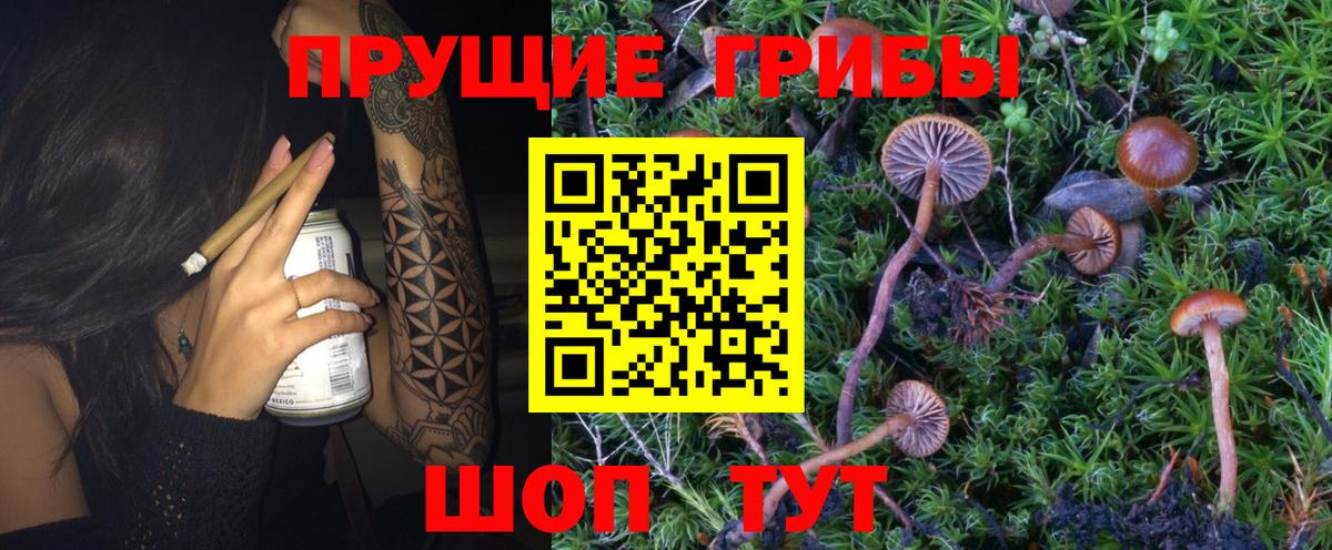 Галлюциногенные грибы MAGIC MUSHROOMS Кудымкар